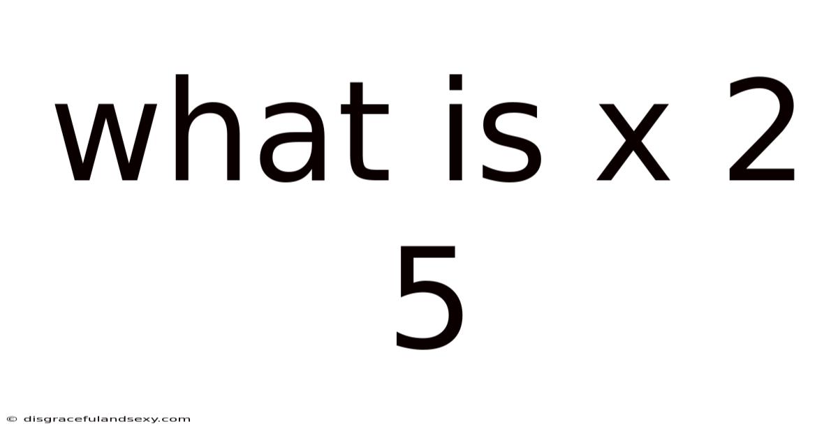 What Is X 2 5