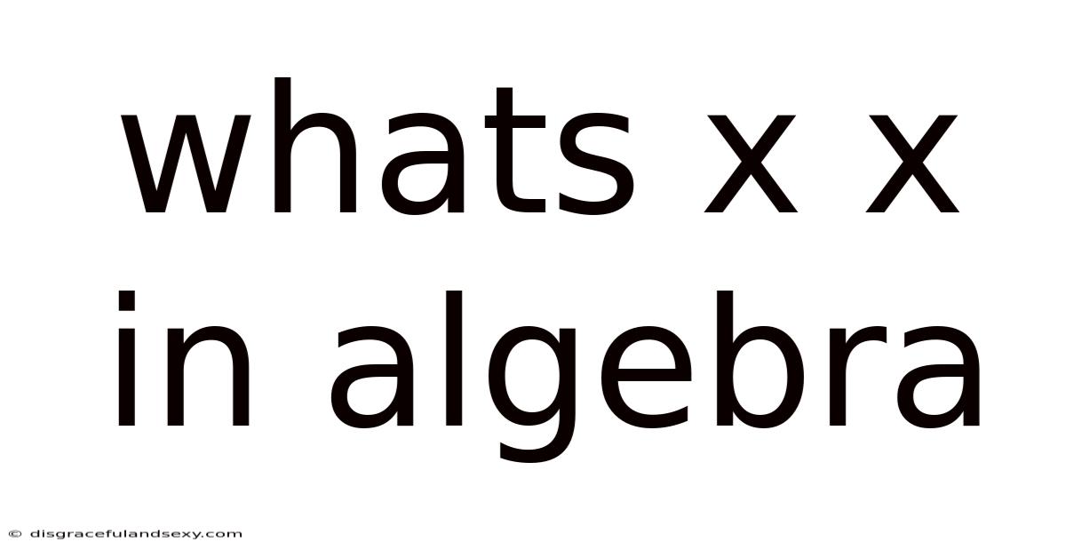 Whats X X In Algebra