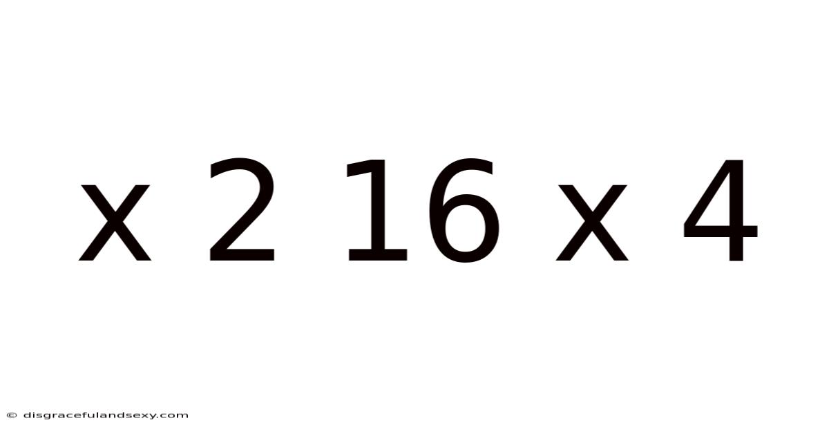 X 2 16 X 4