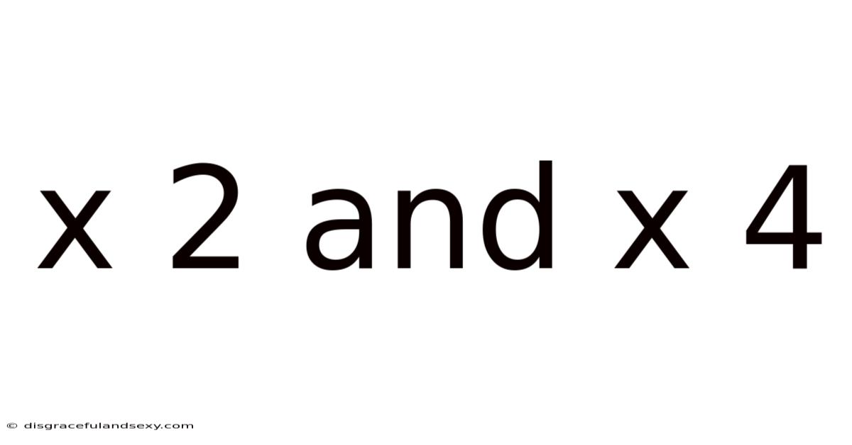 X 2 And X 4