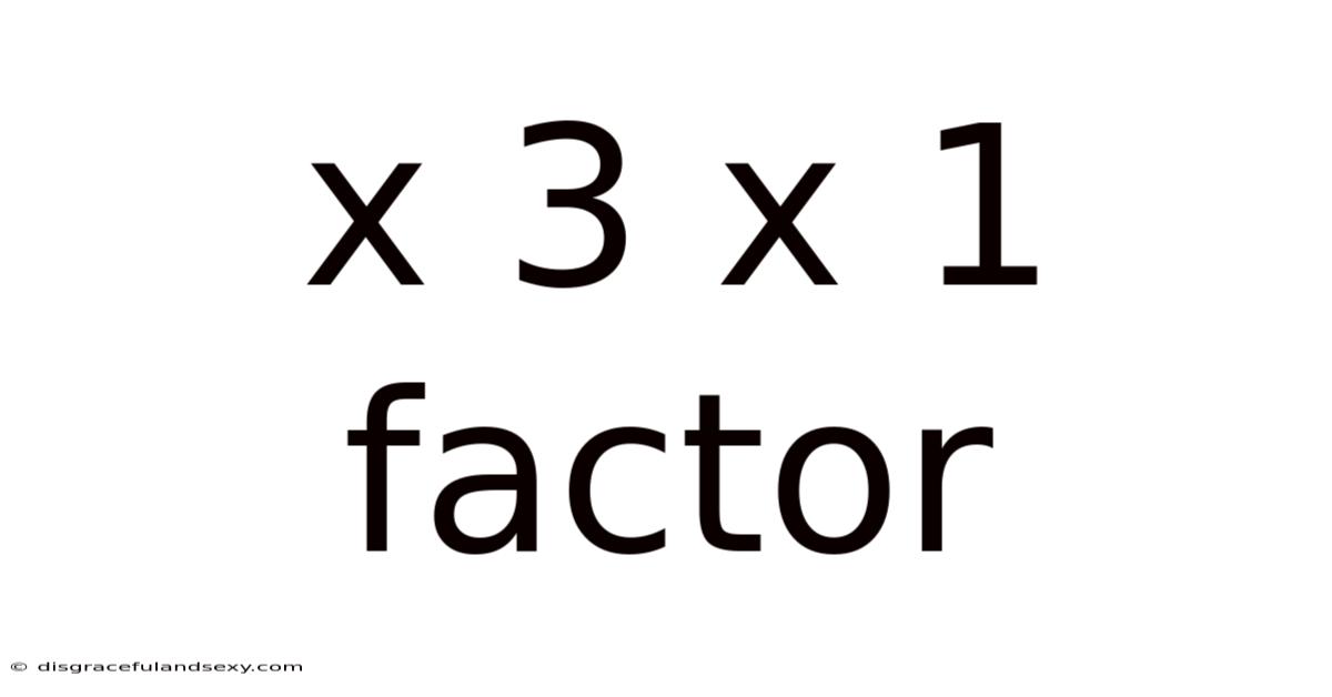X 3 X 1 Factor