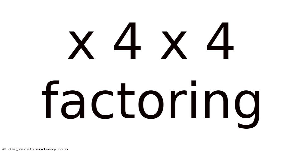 X 4 X 4 Factoring