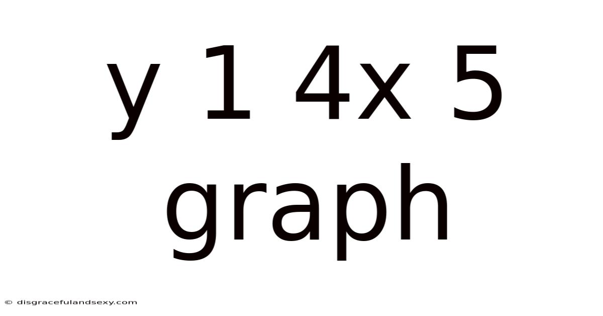 Y 1 4x 5 Graph